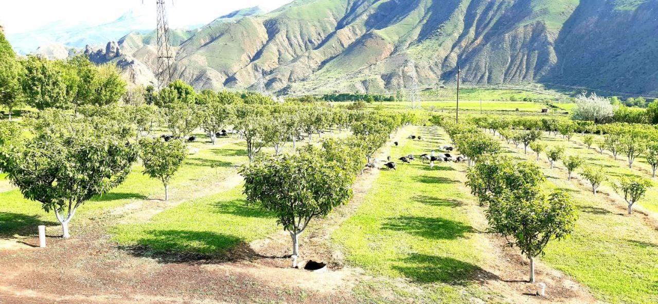 Greenfield Resort