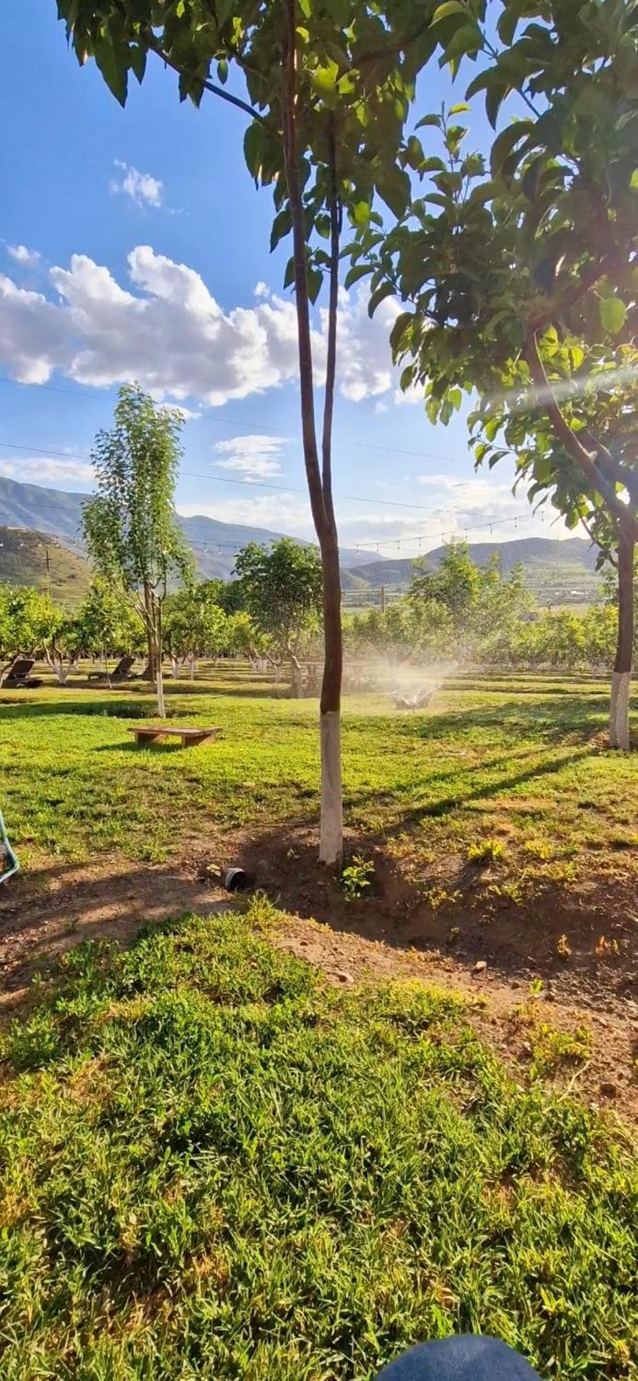 Apartment Greenfield Resort